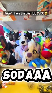 Fizzy Fox: A Furry's Adventure at Work!