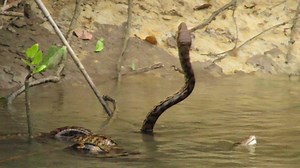 375K views · 558 shares | Sorry this is long.. The term "epic" is...