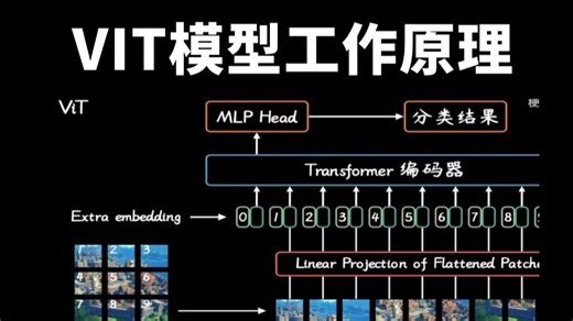 Vision Transformer(ViT)模型原理详解+项目实战，1小时带你彻底搞定VIT模型工作原理！（深度学习/计算机视觉）