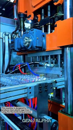 Automated Egg Tray Forming System #manufacturing