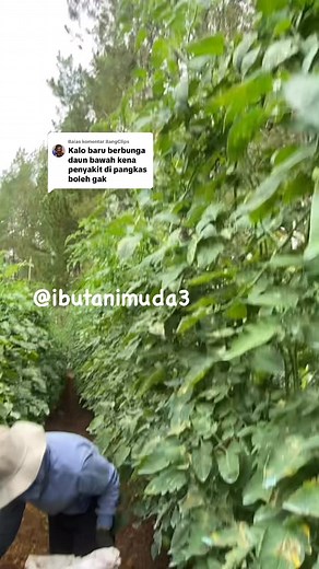 Gimana merut pendapat klian gess?? | Winda Silaban