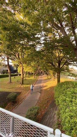 Japan 🇯🇵 walking path ඇවිදින මං තිරැ