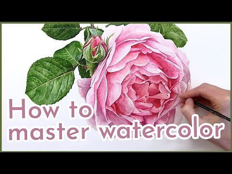 How to paint a watercolor rose | Realistic watercolor painting class with Anna Mason
