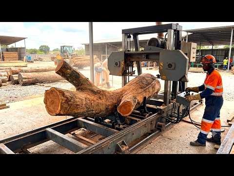 Crafting A Curved Tree Trunk Into A Unique Table - Marvel At The Creativity Of The Woodworker