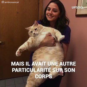 1.4M views · 23K reactions | Il n’avait même pas 3 ans et on aurait...