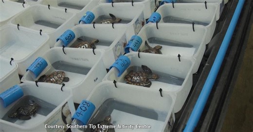 News Quiz:May 9, 2024 Season 39 Episode 31