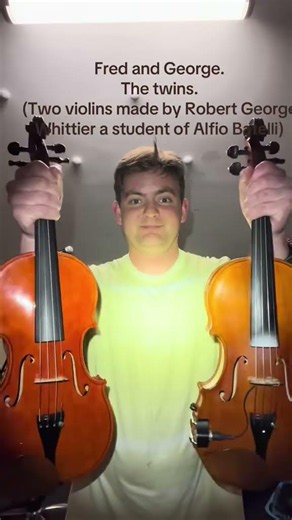 My string instrument collection and their names.