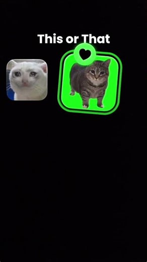 2 OIA CATS!?