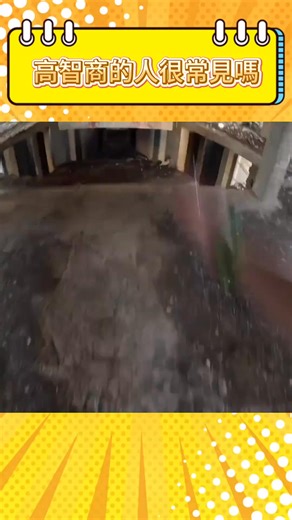 🧠 你覺得自己是一個聰明人嗎？ 美國人的平均 IQ 為 96 —— 你能超過這個分數嗎？ ⚡ 只需 3 分鐘， 這項 IQ 測試即可揭示你真正的腦力表現。 ✅ 科學依據 ✅ 精準可靠 ✅ 全球信賴 👇 立即查看你的 IQ 分數 | Cognitive IQ Lab