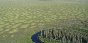 Indigenous protected areas are the next generation of conservation