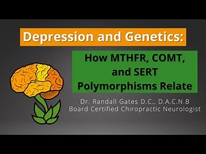 Depression and Genetics: How MTHFR, COMT, and SERT polymorphisms relate.