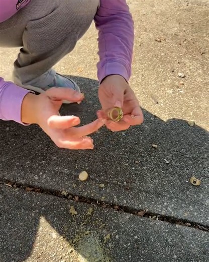 How to make a ring from an acorn without any tools 🤯 | UNILAD Tech