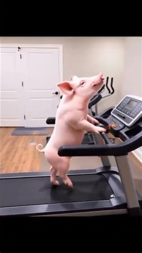 Piggy Is Working Out… I'm Trying to Keep Up! 🐷💪😂#Piggy#piggyroblox#PiggyMoments