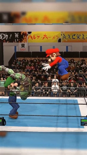 Mario & Luigi vs Leonardo TMNT