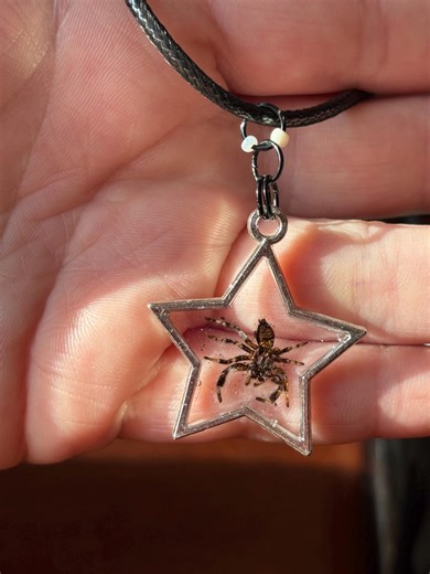 Resin Jumping Spider Necklace, Silver Star Bezel, 18" Cord - Etsy