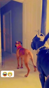 Si les gusta el canal sígueme y comparte con amigos 👌 😁 👇 💪 😉 👉 👌 😁 👇 | cosas cómicas