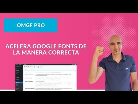 OMGF WordPress 🚀 How to Load Google Fonts Locally (Tutorial + Pricing)