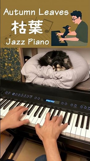 ビル・エヴァンス/枯葉/弾いてみた/ジャズピアノ #Shorts
