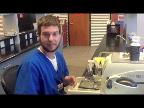 Surgical Pathology Labs' State-of-the-Art Laboratory