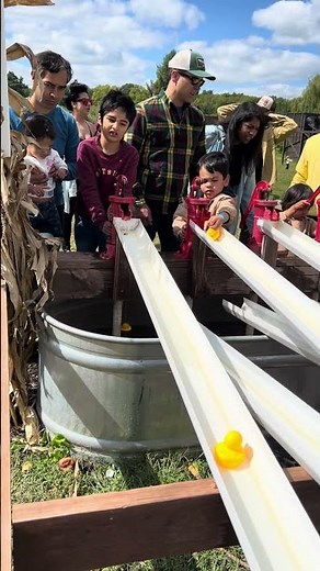 Cute Ducks Racing to the Finish Line Duck Race Madness! | Family Fun & Adorable Moment #cutebaby