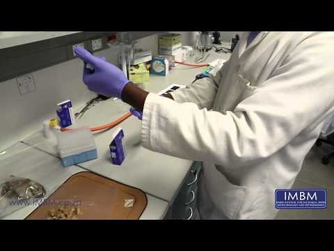 Isolating Bacteria from Marine Sponges