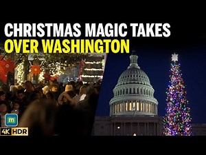 Washington DC Lights Up For Christmas 2025 | Capitol Tree, White House & Citywide Festivities