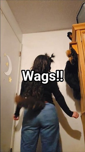 Aggressive Wags! #furry #tail #therian #supermotiontail #fursuit #antizoo #kemonomimi
