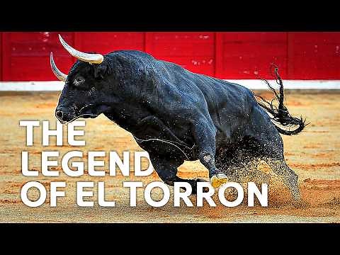 The Fighting Bulls of Mexico | Spirit of the Bull