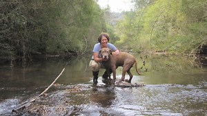 Dog changing world one poop sample at a time