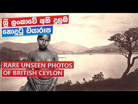 Old Ceylon in Rare Photos (1900s) – A Lost Era of Sri Lanka!