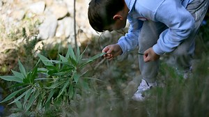 5th Grade Ecosystems