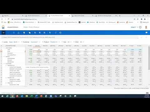 Scenario Planning with Workday Adaptive Planning