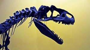 Andy's Dinosaur Adventures S01E20 - Allosaurus And Salt