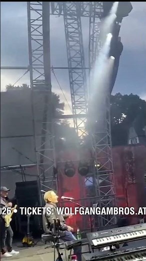 Wolfgang Ambros Live 2026