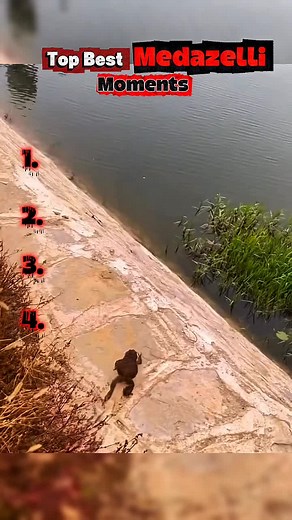 Funniest Medazelli Moments | @Medazelli☔️ #medazelli