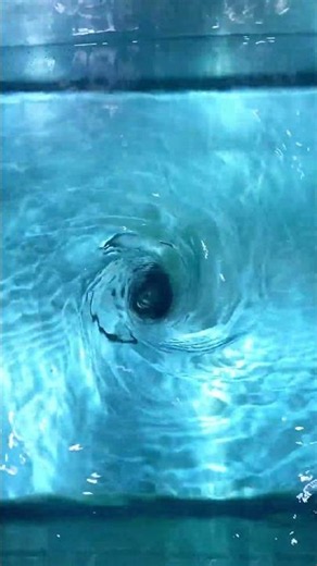 Blue Water Tornado in My Sink #satisfying