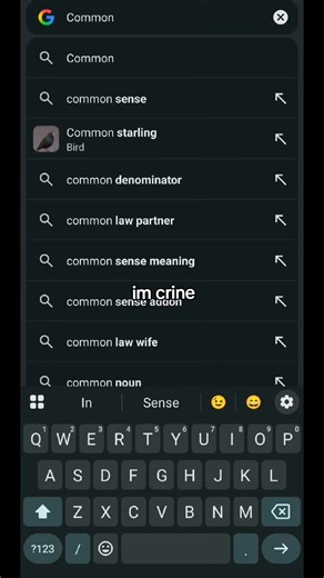 why are they flying #commonstarling #flying #google #birds #stupidlyfunny