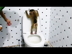 Mom Teach Molly To potty training & Change New D-i-a-p-e-r