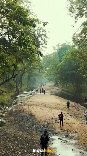 The River Walk of The Pench Tiger Trail | Indiahikes
