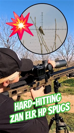 Hard-hitting ZAN ELR HP Slugs #fxairguns #elementoptics #zanprojectiles