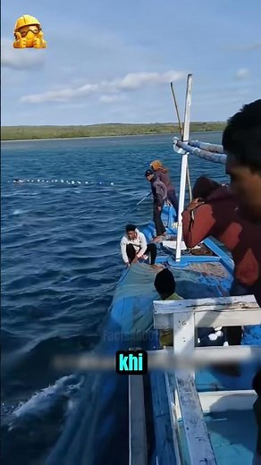 Techniques for Using Seine Nets to Catch Tons of Fish!