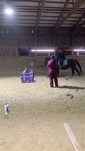 Big jump for a chubby pony #showjumping #horse #horseenthusiast #englishriding