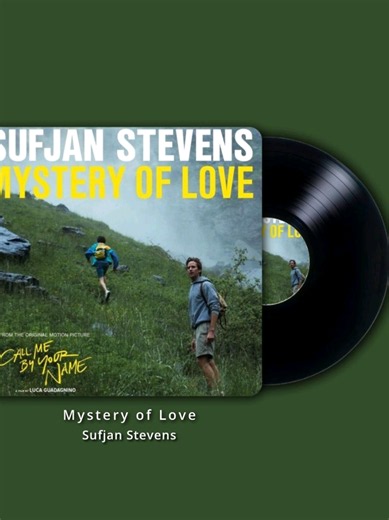 Mystery of Love - Sufjan Stevens #fyp #lyrics #foryou #princelyrics8