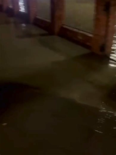 🌧️ FLOODING IN NEW ZEALAND: Heavy rain brought flooding to Wellington, New Zealand on Monday. This insane video shows residents in an apartment building walking through ankle-high waters. #FOXWeather #weather #severe #rain #newzealand #flooding