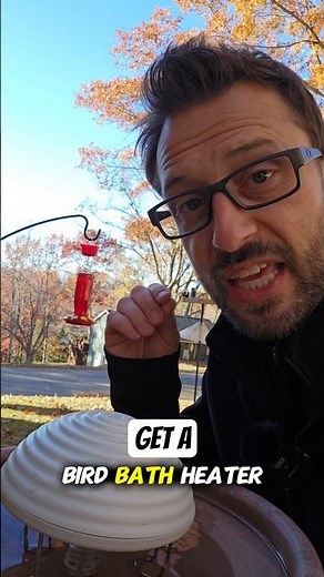 Get a Bird Bath Heater! #birdbaths