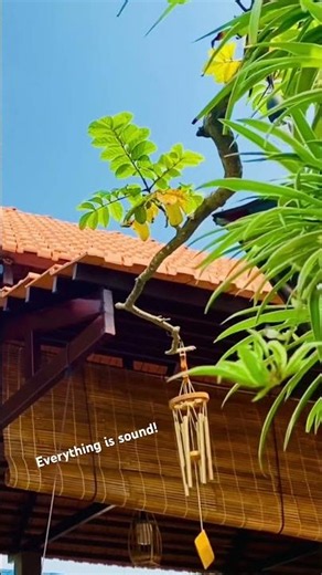 A wind chime: all the things are sounds. #innerpeace #windchime #wind #zen #mindfulness