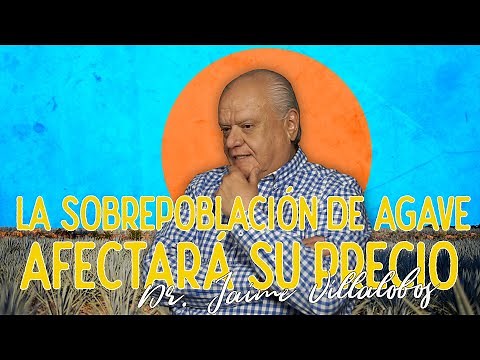 La sobrepoblación de agave, afectará su precio.