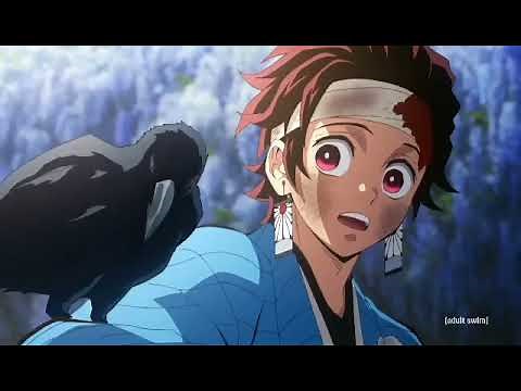 Tanjiro Gets His Kasugai Crow | Demon Slayer | [ENG/DUB]