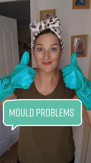 Say Goodbye to Mould Problems with Dryzone - The Ultimate Demoulder!