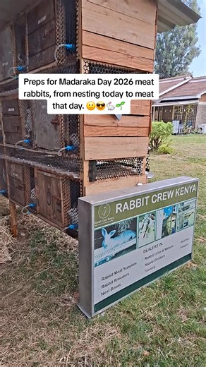 Rabbit Meat Tuesdays is on! But first, some nesting manenos.